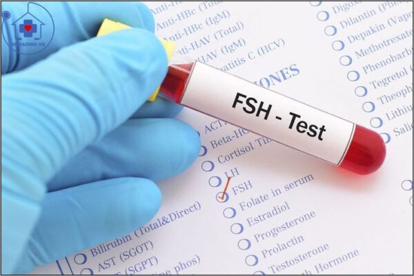 <span class="notranslate">fsh</span>